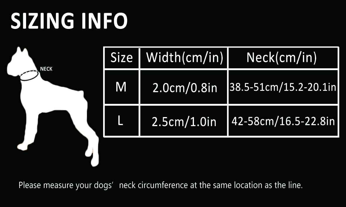 Truelove Dog Collar with Stainless Steel Chain (TLC5372)