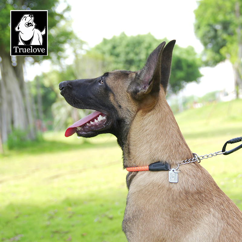 Truelove P-chain Reflective Safety Collar for Your Beloved Pet (TLC5375)
