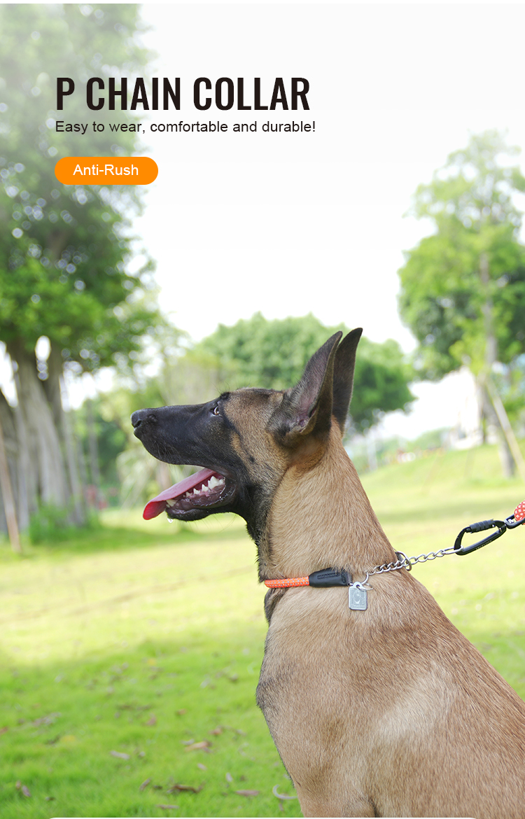 Truelove P-chain Reflective Safety Collar for Your Beloved Pet (TLC5375)