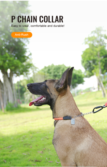 Truelove P-chain Reflective Safety Collar for Your Beloved Pet (TLC5375)
