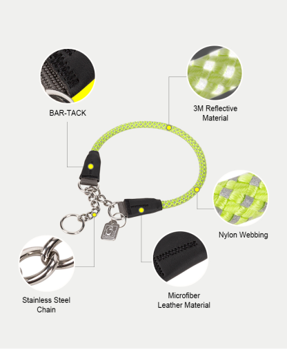 Truelove P-chain Reflective Safety Collar for Your Beloved Pet (TLC5375)