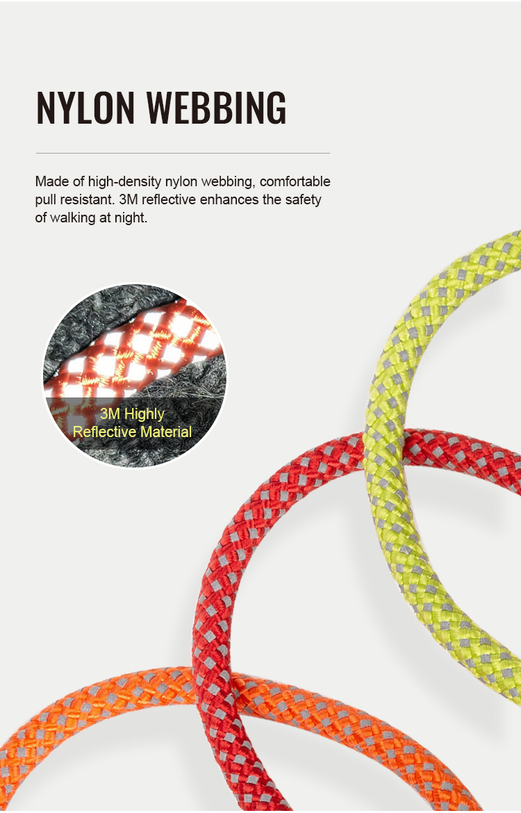 Truelove P-chain Reflective Safety Collar for Your Beloved Pet (TLC5375)