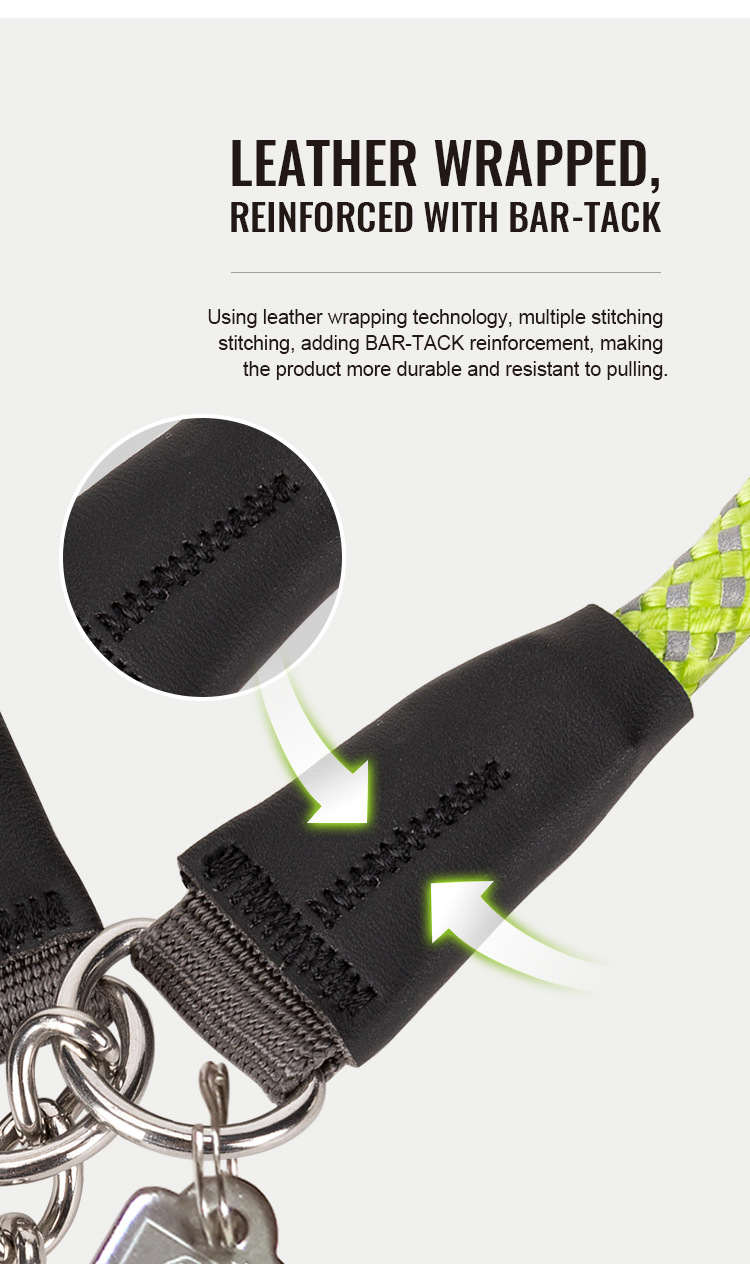 Truelove P-chain Reflective Safety Collar for Your Beloved Pet (TLC5375)