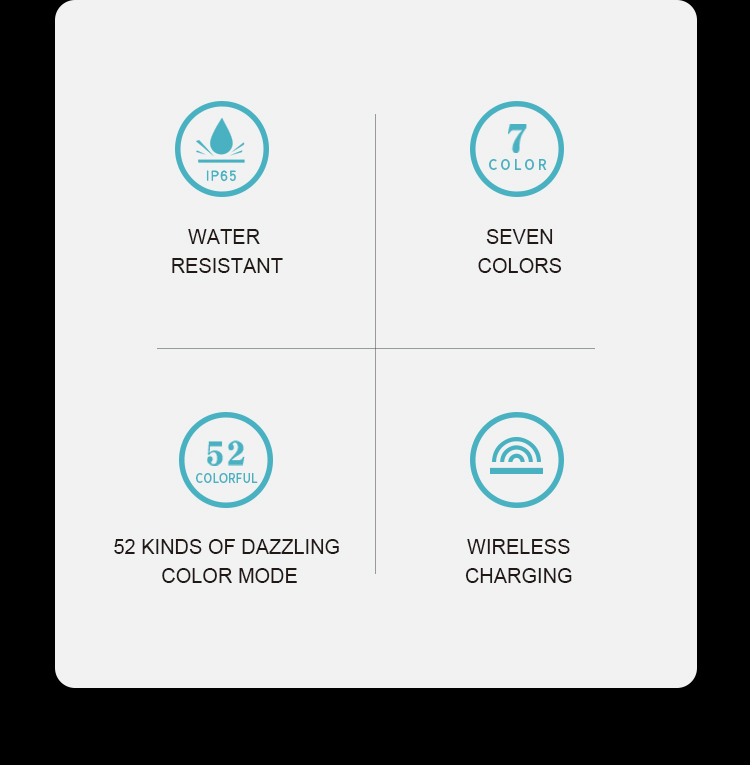 Truelove Waterproof Wireless Charging LED Dog Safety Light (TLD19102)