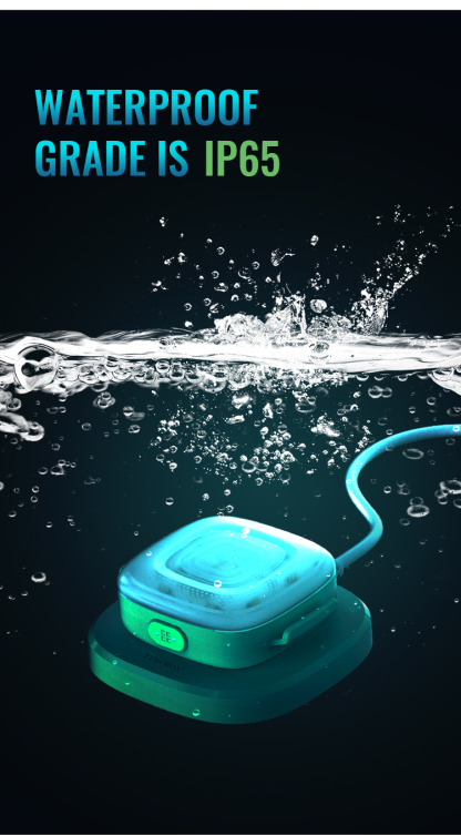 Truelove Waterproof Wireless Charging LED Dog Safety Light (TLD19102)