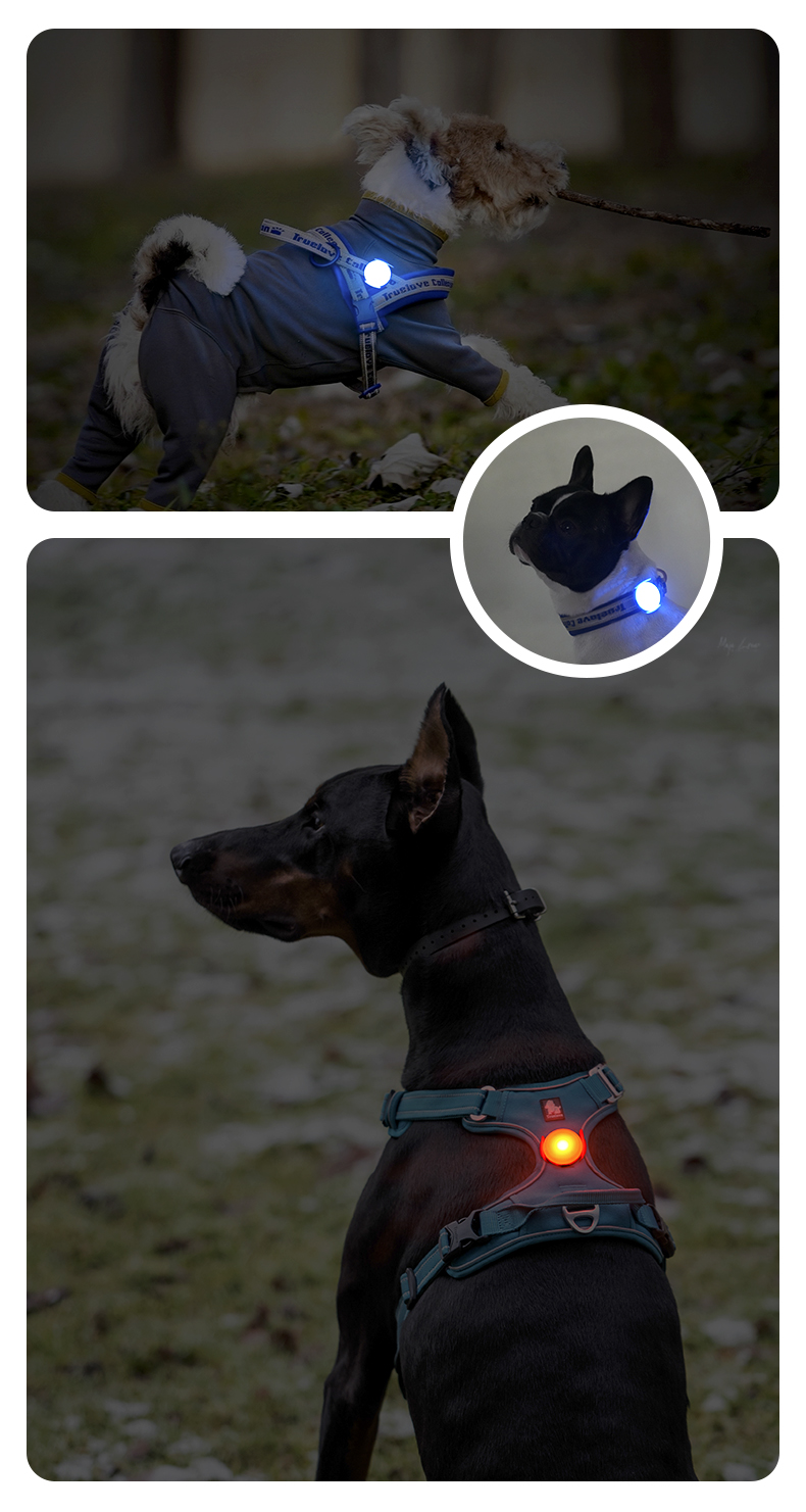 Truelove Outdoor Convenient Charge Waterproof Design Versatile Flash Modes LED Light (TLD19103)