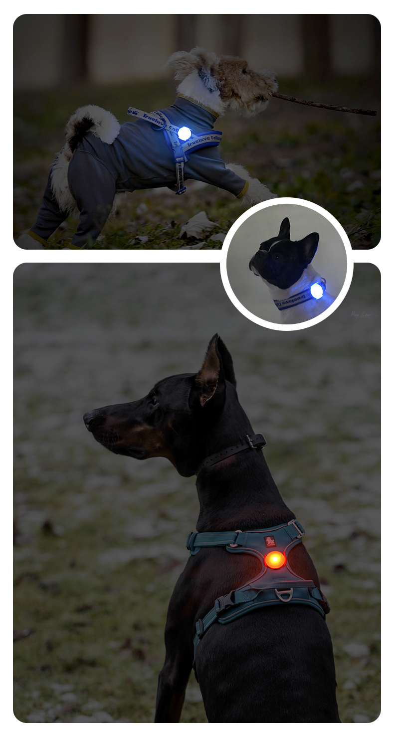 Truelove Outdoor Convenient Charge Waterproof Design Versatile Flash Modes LED Light (TLD19103)