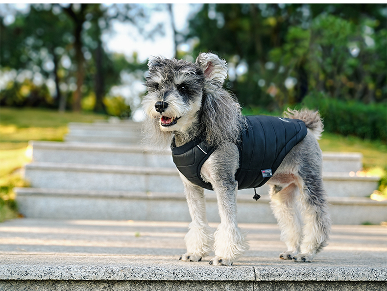 Truelove Warm and Durable Pet Winter Coat with Thinsulate Insulation (TLG2171)