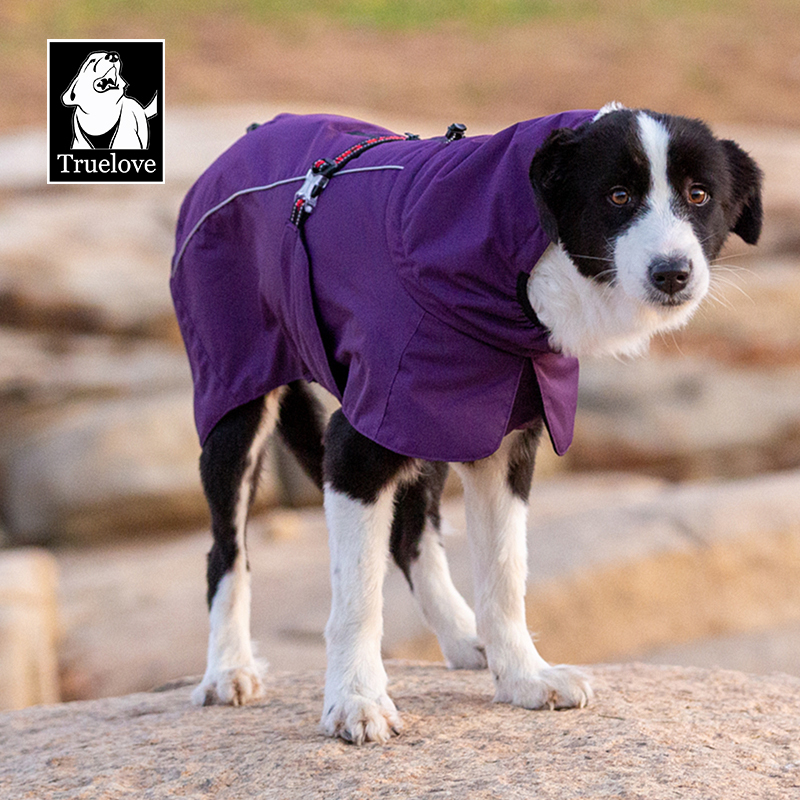 Truelove Ultimate Thinsulate™ Lining Outdoor Winter Coat for Dogs (TLG2372)