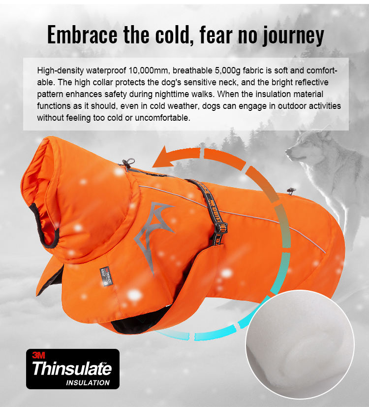 Truelove Ultimate Thinsulate™ Lining Outdoor Winter Coat for Dogs (TLG2372)