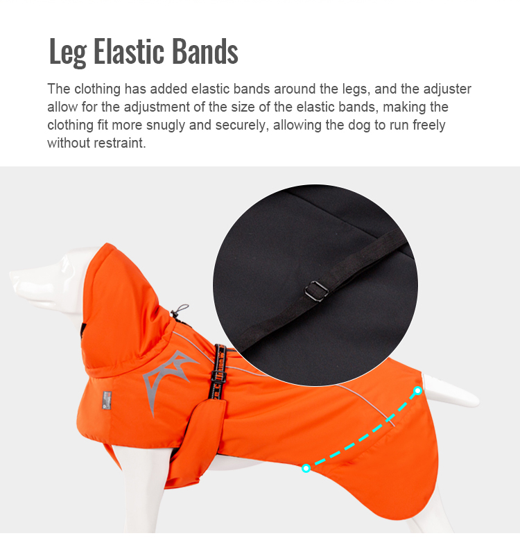 Truelove Ultimate Thinsulate™ Lining Outdoor Winter Coat for Dogs (TLG2372)