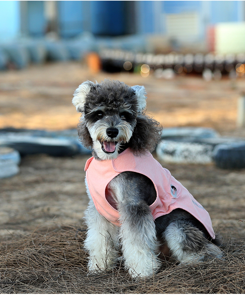 Truelove Pet Antibacterial Vest Bacterial Fabric-Tested by SGS Soft Pet Coat (TLG2521)