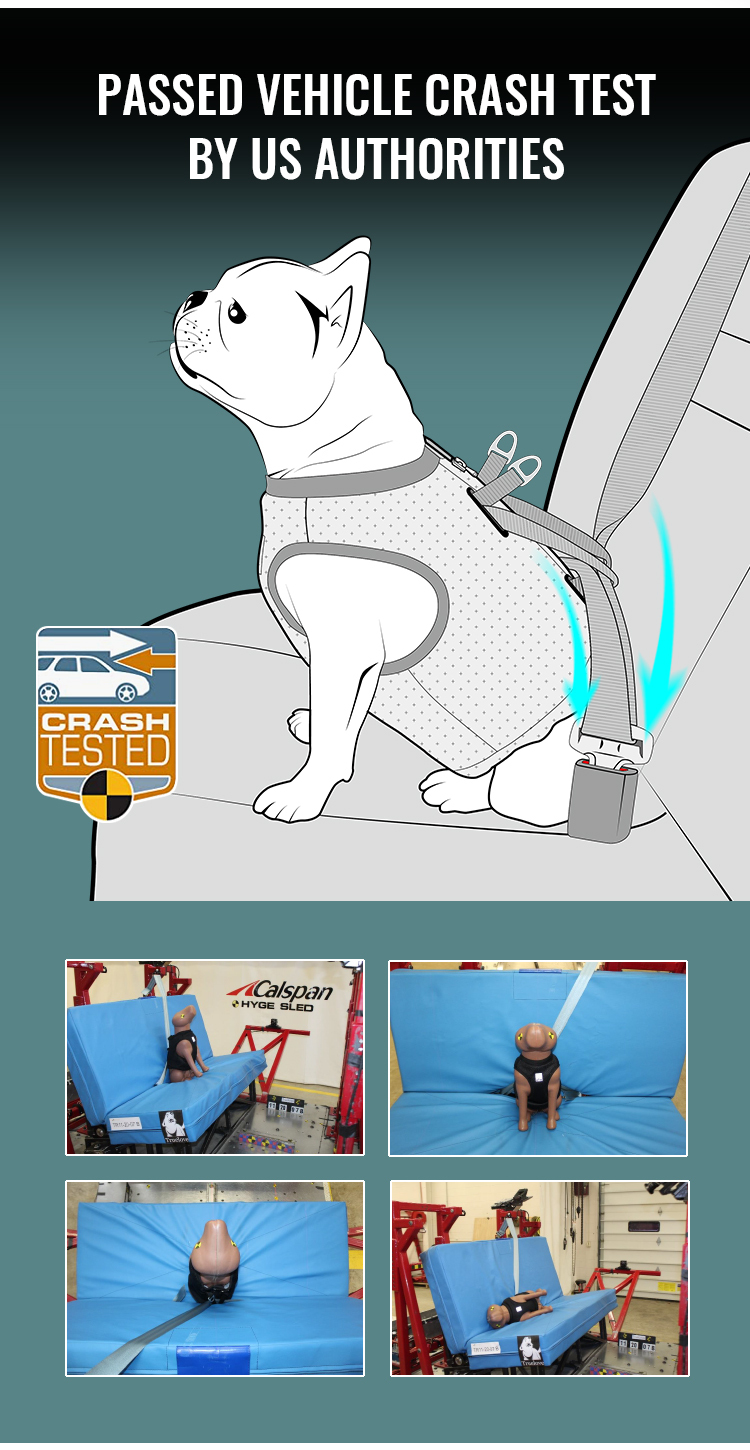 Truelove Secure Cool Pet Harness: Safety and Comfort Combined
