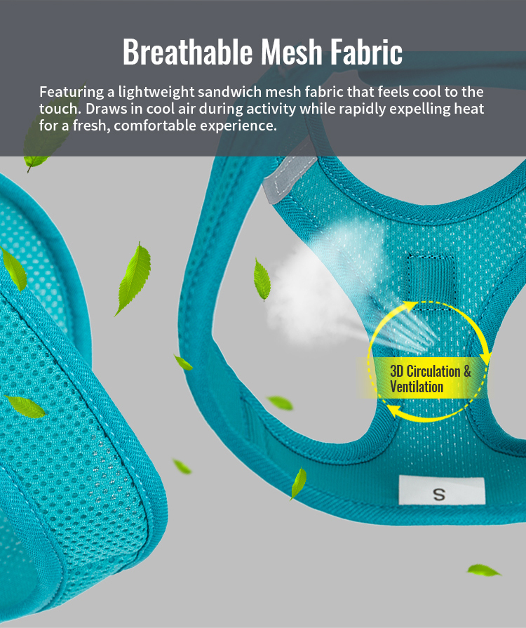 Truelove Nylon Solid Color Dog Harness Vest for Training Puppy Walking (TLH2911)