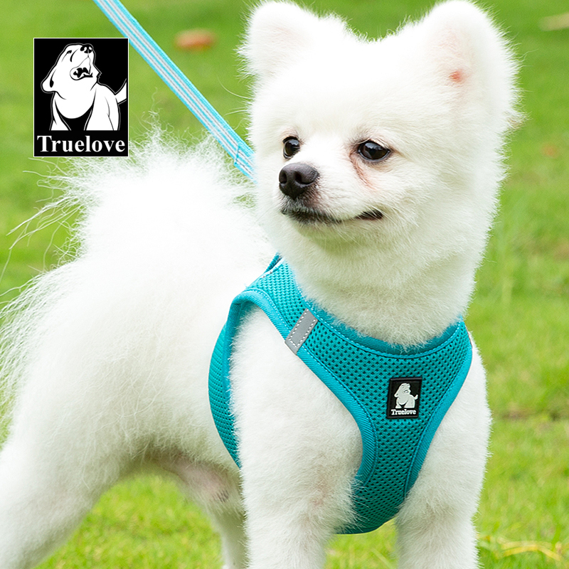 Truelove Nylon Solid Color Dog Harness Vest for Training Puppy Walking