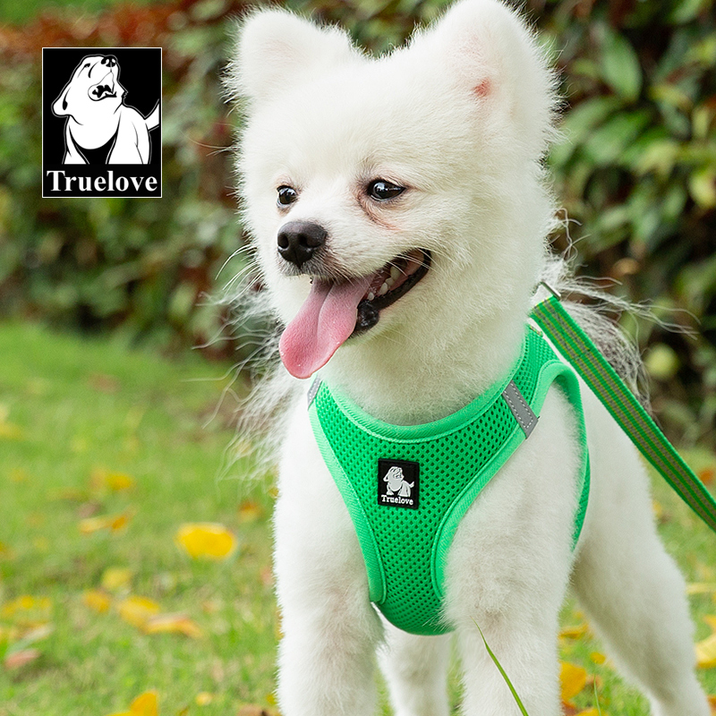 Truelove Nylon Solid Color Dog Harness Vest for Training Puppy Walking