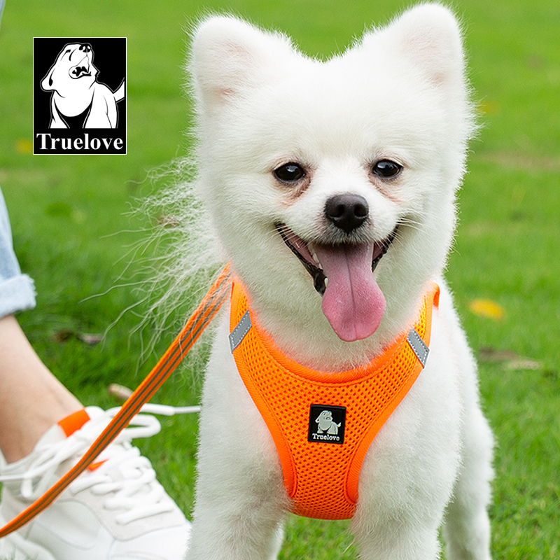 Truelove Nylon Solid Color Dog Harness Vest for Training Puppy Walking