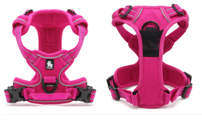 Truelove No-pull Outdoor Dog Harness