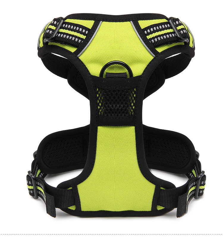 Truelove No-pull Outdoor Dog Harness