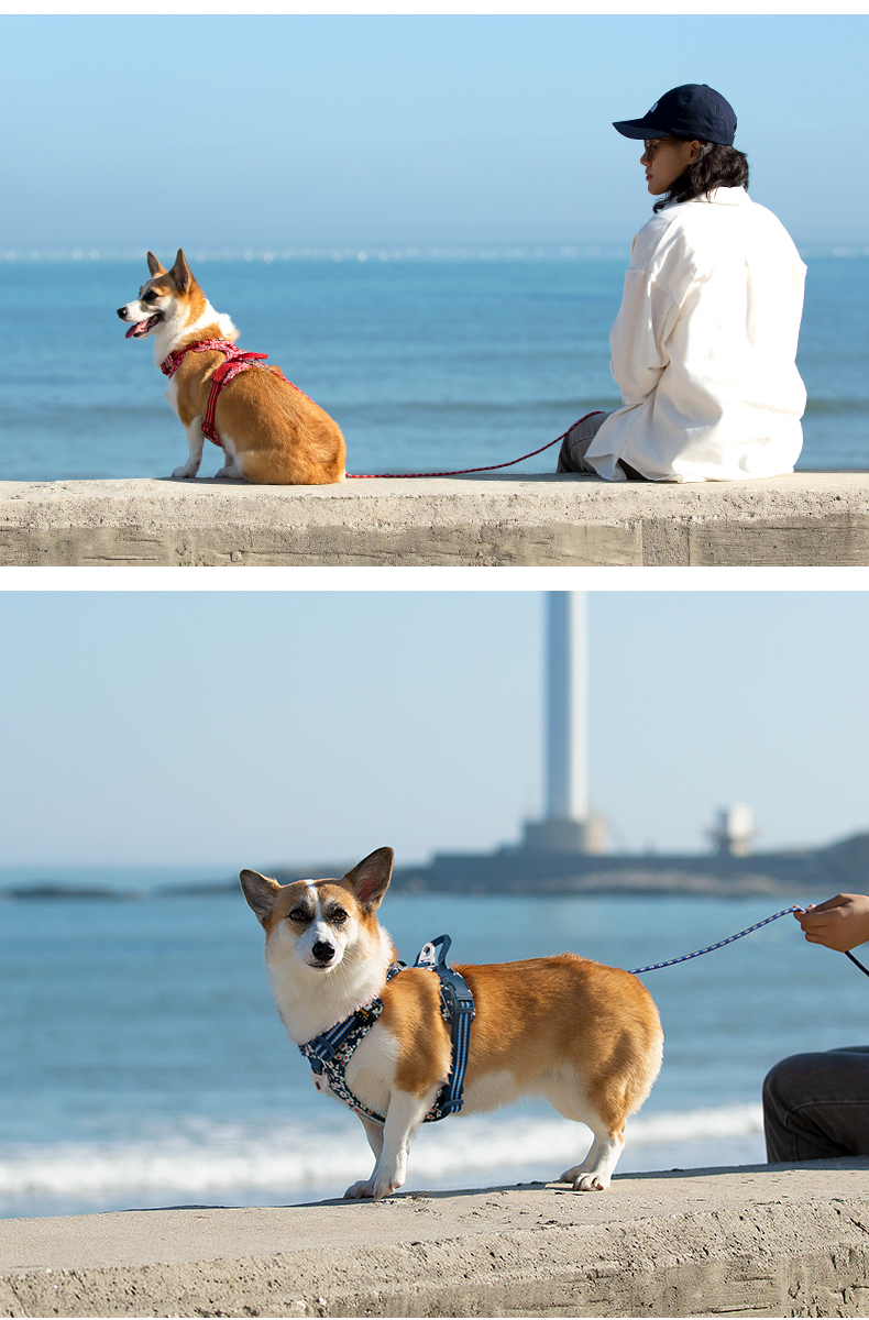 Truelove Easy On/Off Harness with Front and Back Leash Attachments (TLH5656)