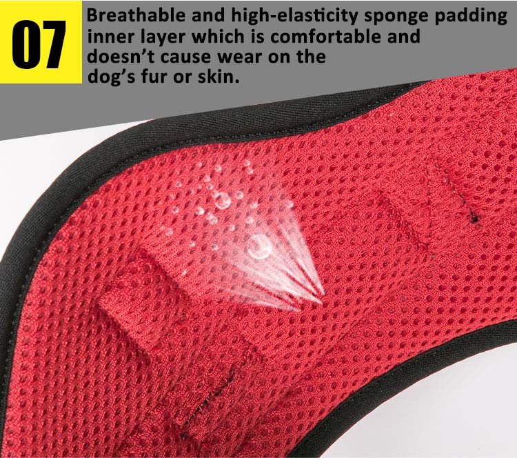 Truelove Outdoor Adventure Big Dog Harness