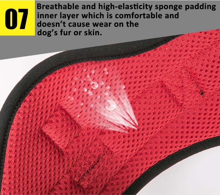 Truelove Outdoor Adventure Big Dog Harness