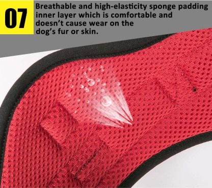 Truelove Outdoor Adventure Big Dog Harness