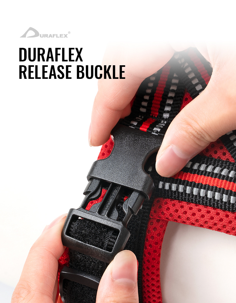 Truelove Mesh Padded Soft Breathable Dog Harness (TLH5811)