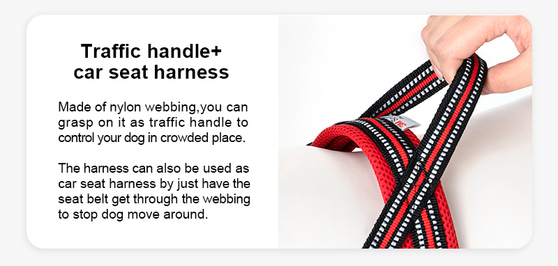 Truelove Mesh Padded Soft Breathable Dog Harness (TLH5811)