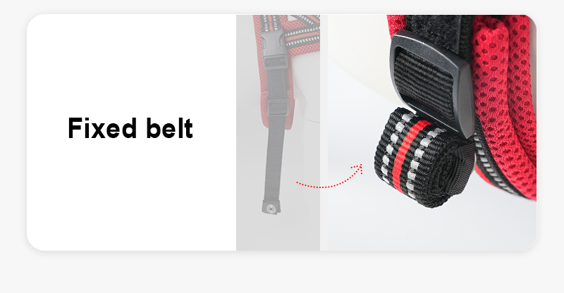 Truelove Mesh Padded Soft Breathable Dog Harness (TLH5811)