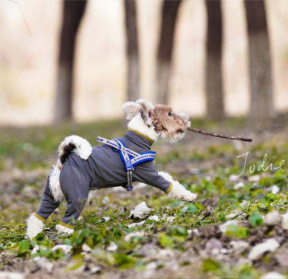 Truelove Convenient Comfortable Dog Harness (TLH58121)