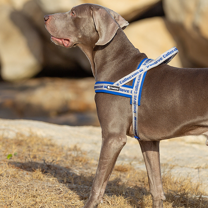Truelove Convenient Comfortable Dog Harness