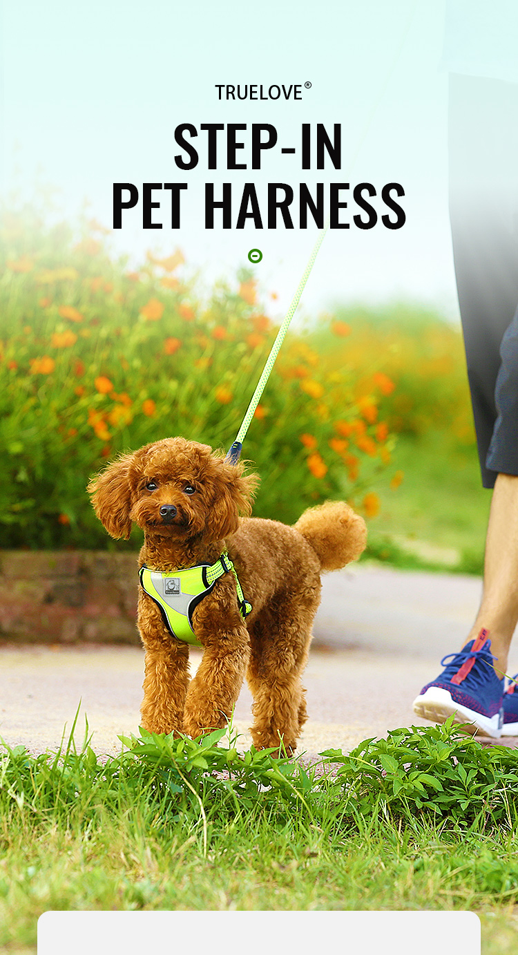 Truelove Escape-proof Reflective Tactic Dog Harness (TLH5991)