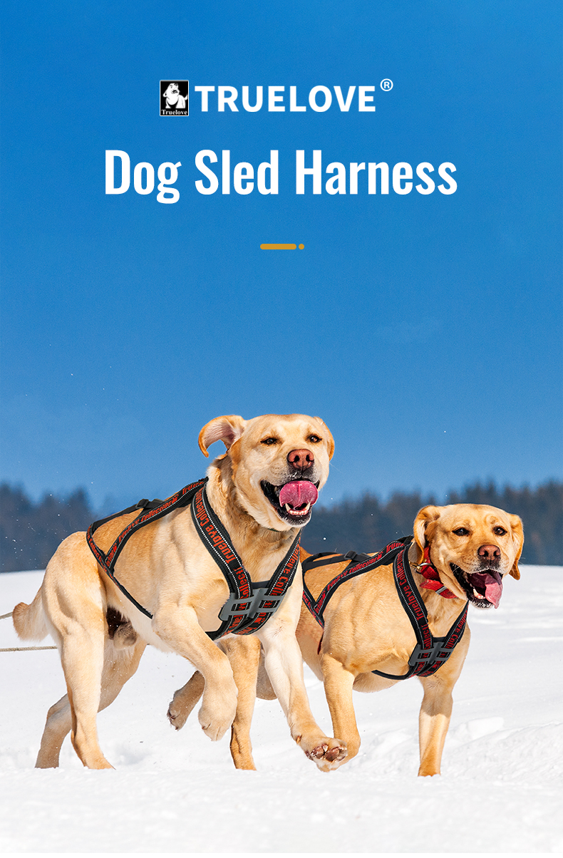 Truelove Durable and Soft Harness for Enhanced Pet Comfort Breathable Padding (TLH6271)