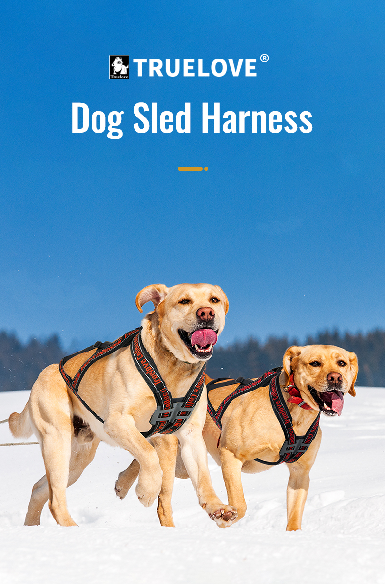 Truelove Durable and Soft Harness for Enhanced Pet Comfort Breathable Padding (TLH6271)