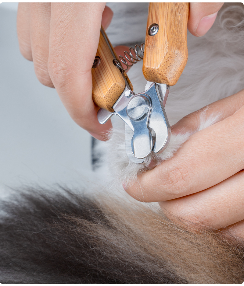 Truelove Professional Stainless Steel Dog Cat Pet Nail Clipper Novice-Friendly Bamboo Claw Scissors Pet Care Grooming Set (TLK26131)