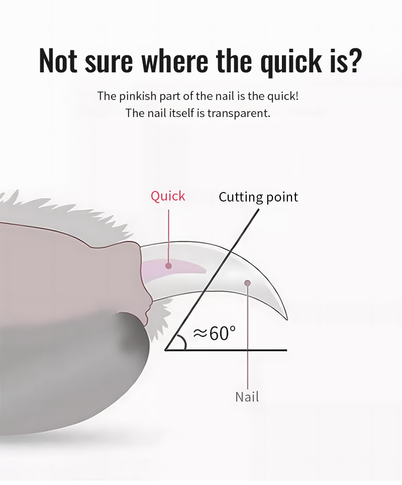 Truelove Professional Stainless Steel Dog Cat Pet Nail Clipper Novice-Friendly Bamboo Claw Scissors Pet Care Grooming Set (TLK26131)