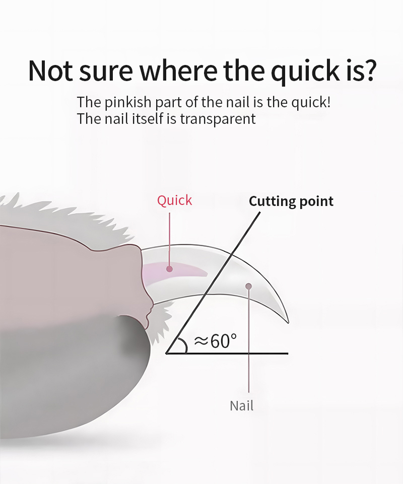 Truelove Professional Bamboo Pet Nail Clipper for Cats Dogs Eco-Friendly Stainless Steel (TLK27131)