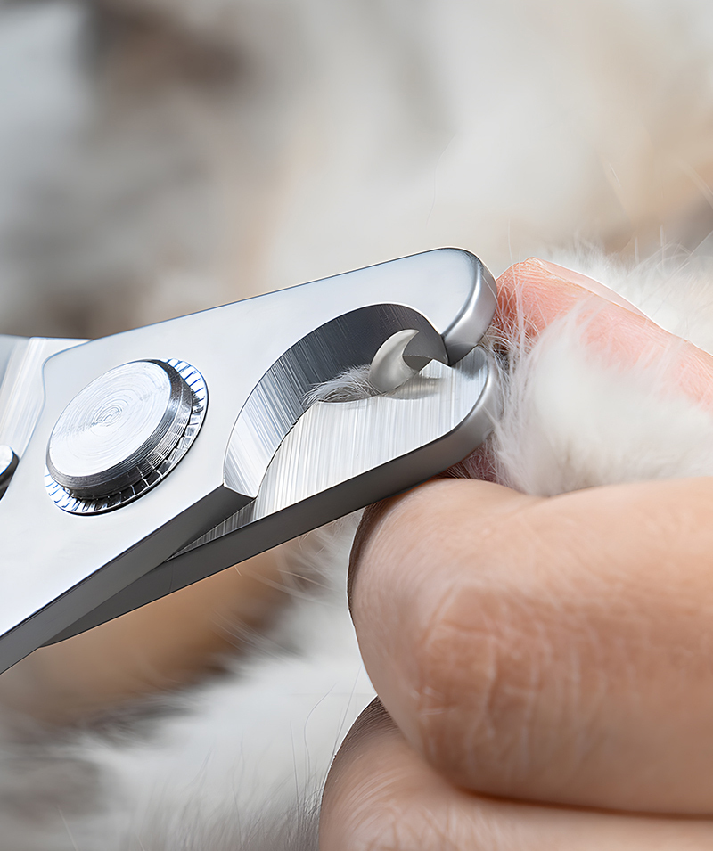 Truelove Professional Bamboo Pet Nail Clipper for Cats Dogs Eco-Friendly Stainless Steel (TLK27131)