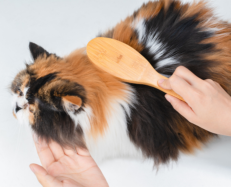 Truelove Professional Bamboo Pet Nail Clipper for Cats Dogs Eco-Friendly Stainless Steel (TLK28131)