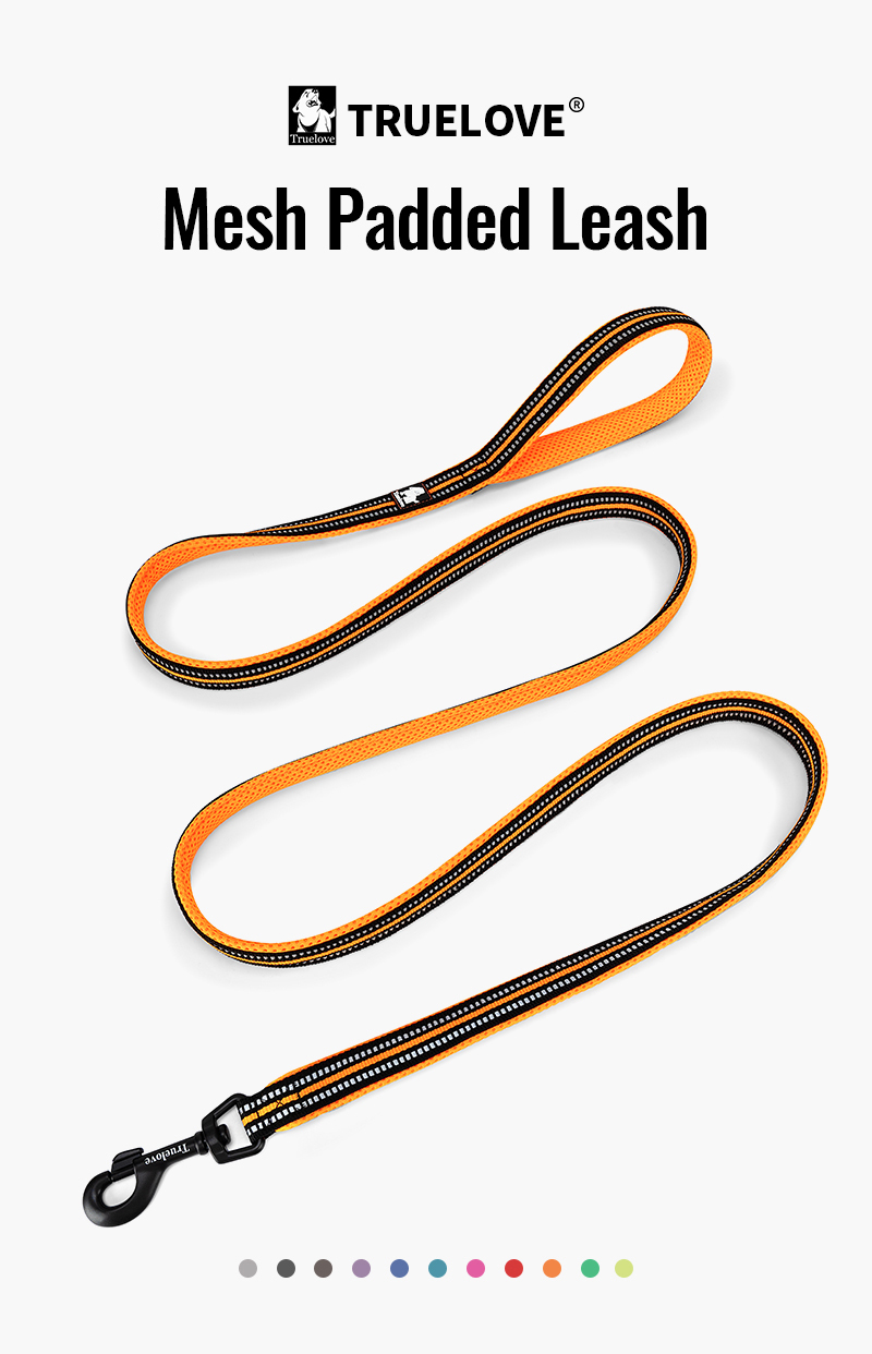 Truelove Mesh Padded Dog Leash (TLL2111 200CM)