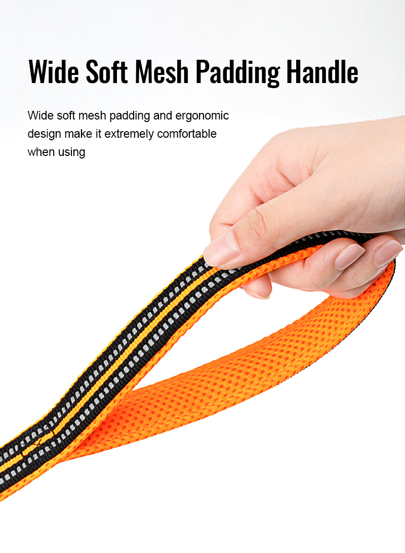 Truelove Mesh Padded Dog Leash (TLL2111 200CM)