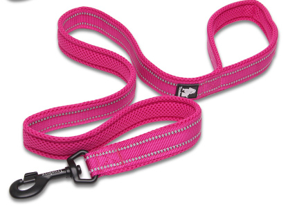 Truelove Mesh Padded Dog Leash (TLL2111 200CM)