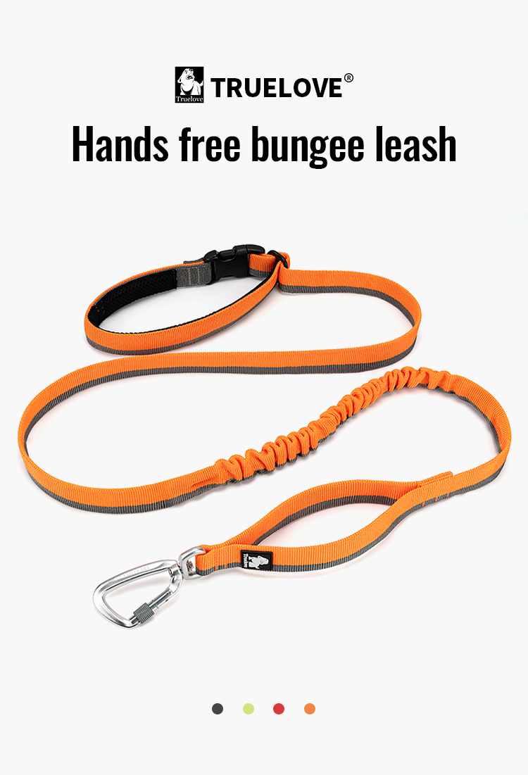 Truelove Nylon Bungee Dog Leash (TLL2271)