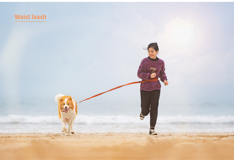 Truelove Nylon Bungee Dog Leash (TLL2271)