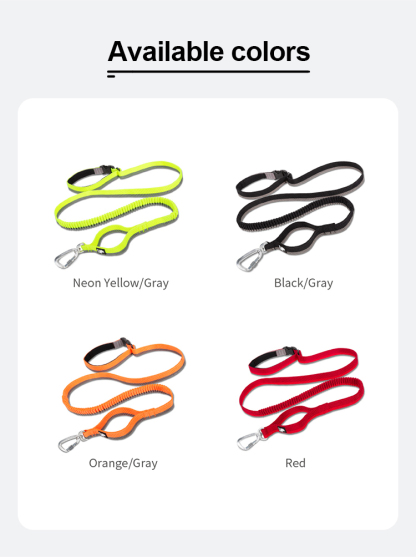 Truelove Nylon Bungee Dog Leash (TLL2271)