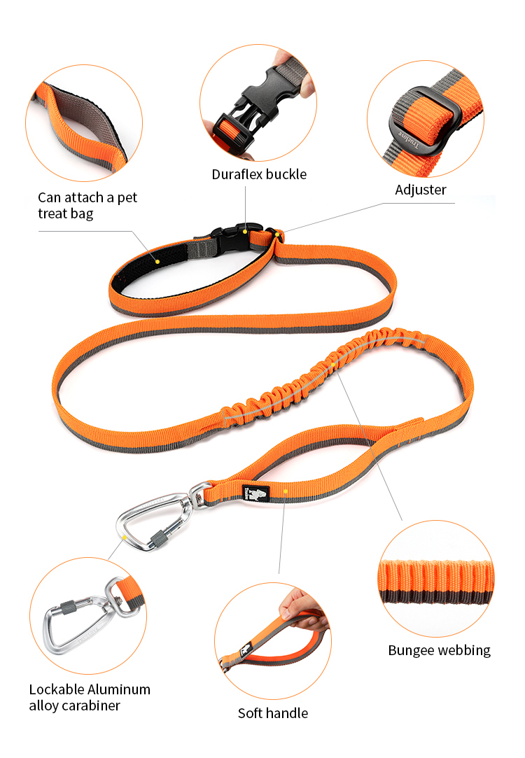 Truelove Nylon Bungee Dog Leash (TLL2271)