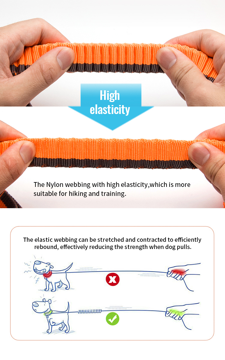 Truelove Nylon Bungee Dog Leash (TLL2271)