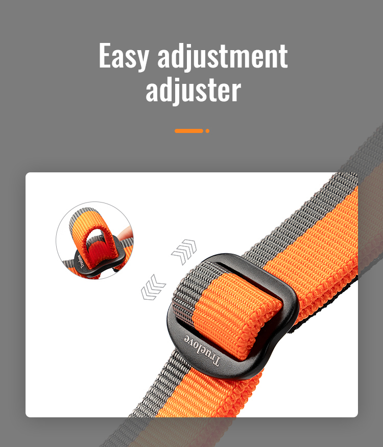 Truelove Nylon Bungee Dog Leash (TLL2271)