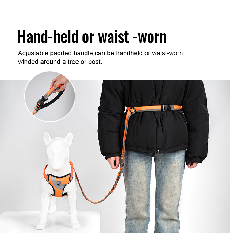 Truelove Nylon Bungee Dog Leash (TLL2271)